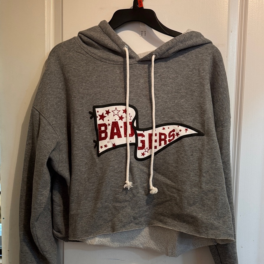 Gray Badgers Hoodie